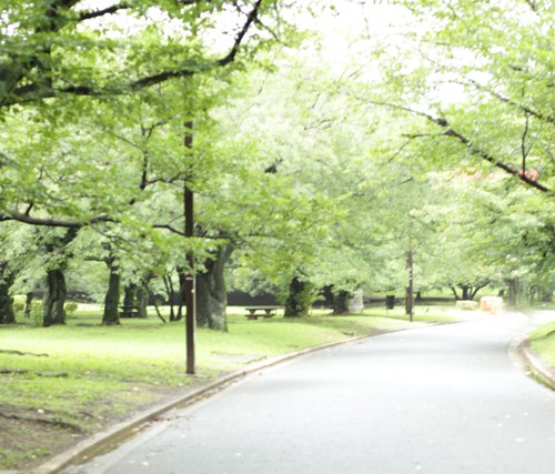 公園イメージ