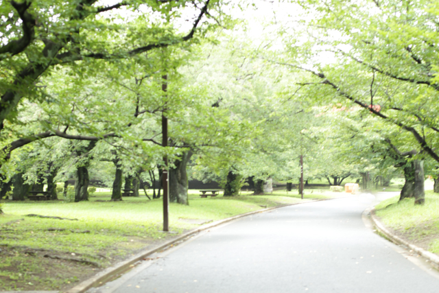 公園イメージ