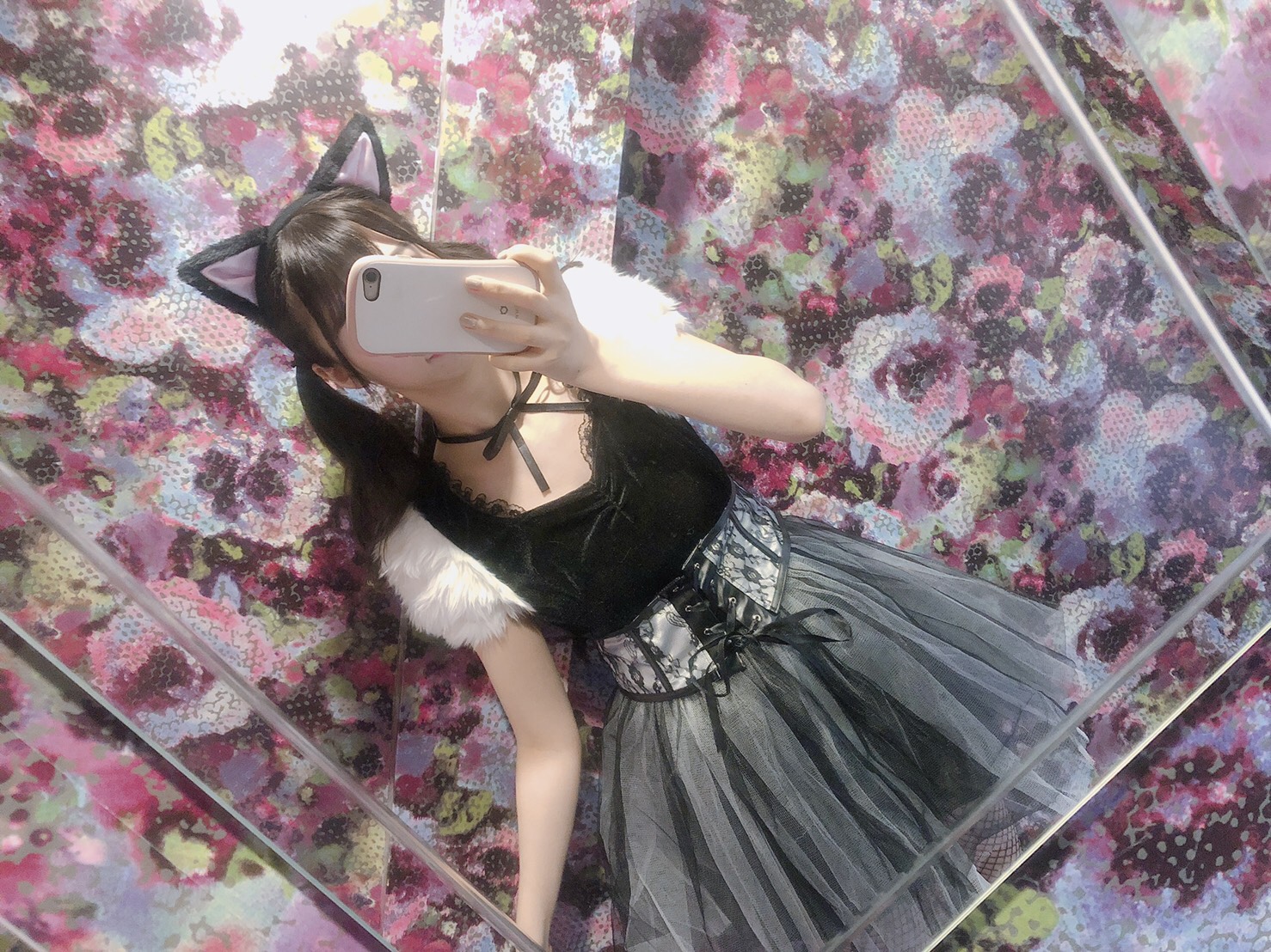 バニラキャット