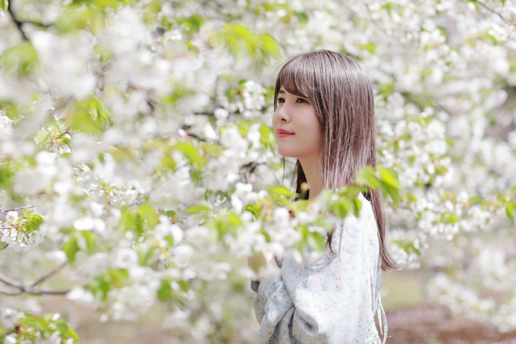 桜撮影会