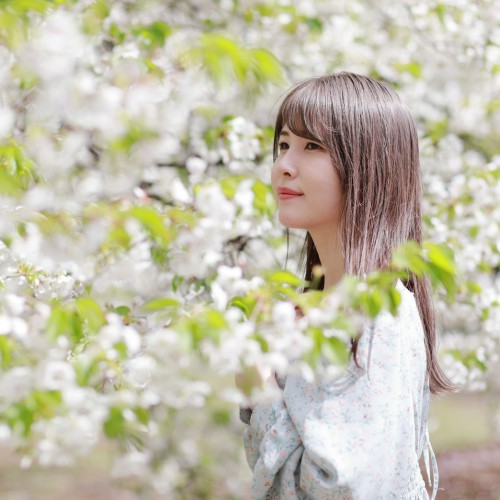 桜撮影会
