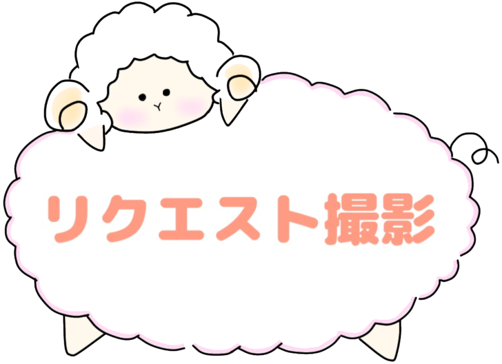 リクエスト撮影会